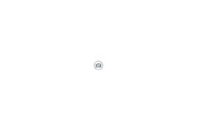 Quark Motors