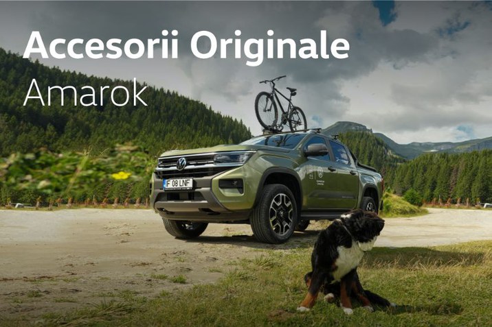 acc amarok